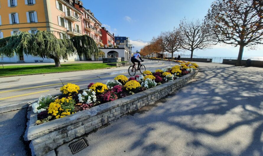 L’action de Vevey Libre ces dernières années: réussites, échecs, et espoirs!