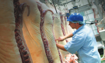 Une fermeture des abattoirs serait incontestablement un énorme gâchis aussi bien sur le plan environnemental qu’économique et de gestions des biens communaux.