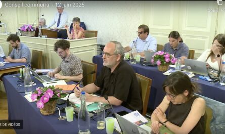 La Municipalité de Vevey vit des difficultés sur plusieurs dossiers.