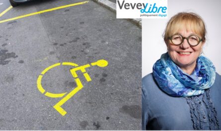 Les places de parking pour personnes à mobilité réduite (PMR) sont souvent oubliées lors des transformations urbaines de Vevey, a déploré la conseillère communale de Vevey Libre, Anne-France Simonin, fin 2023. La Municipalité a répondu que ces places étaient suffisantes et qu'elle ne compenserait pas les places supprimées provisoirement par des chantiers. Elle a souligné que les PMR pouvaient stationner gratuitement sur toutes les places de parc standards pendant une durée illimitée.