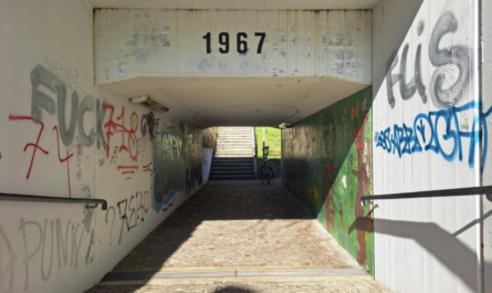 Vevey Libre en a obtenu en juin dernier que des murs soient mis à disposition pour permettre à des artistes de réaliser du graffiti libre et légal. Le but est de valoriser l'art urbain et d'encourager la création artistique. Cinq surfaces, répertoriées et apprêtées par les services de la Ville, peuvent être depuis utilisées à des fins artistiques dans le respect des valeurs éthiques et de cohabitation dans l'espace public.