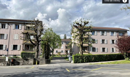Vevey Libre appelle de ses vœux depuis 2012, une véritable politique foncière (acquisition de propriétés) pour maîtriser une plus grande part du parc immobilier et proposer des logements à prix abordable. Cette politique amorcée en 2006, bloquée lors de la dernière législature, a été reprise en 2021 et s’est concrétisée par des achats à l’avenue Nestlé, à la Valsainte et au Bd Plumhof.