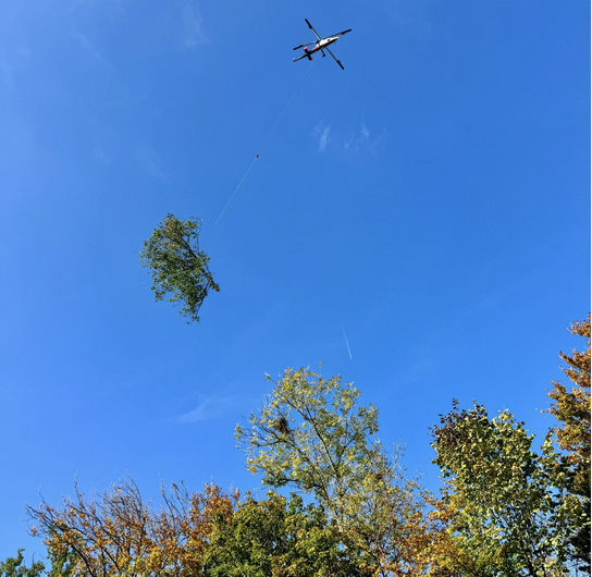 Entretien de la forêt des Bosquets: un travail commun entre Pascal Molliat et Vincent Imhof