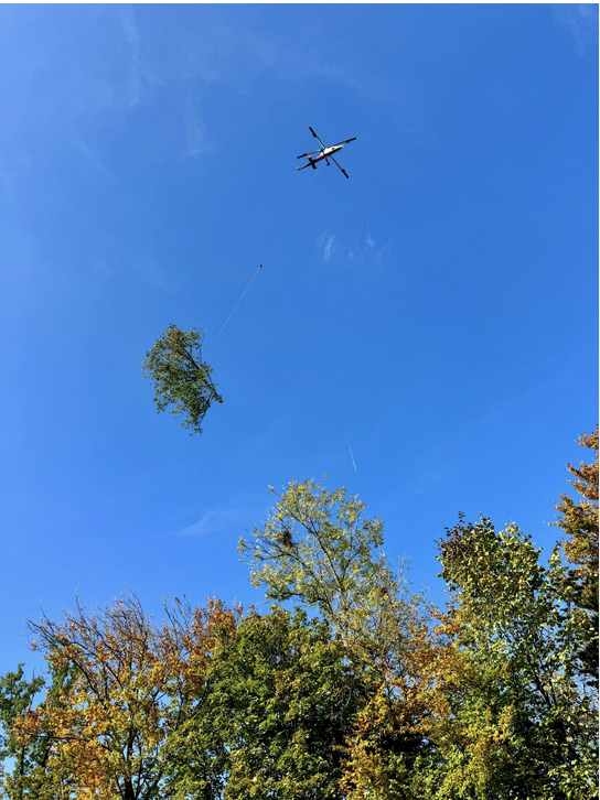 Faute d’entretien et en raison du réchauffement climatique, certains arbres de la forêt des Bosquets présentaient un risque. Une intervention en 2024 a permis de rajeunir la forêt et de replanter des essences mieux adaptées, avec une opération spectaculaire par hélicoptère dans ce site difficile d’accès. Vincent Imhof, municipal des espaces verts, et Pascal Molliat, municipal représentant du triage forestier de la Veveyse, ont mené ensemble ce dossier technique et sensible.
