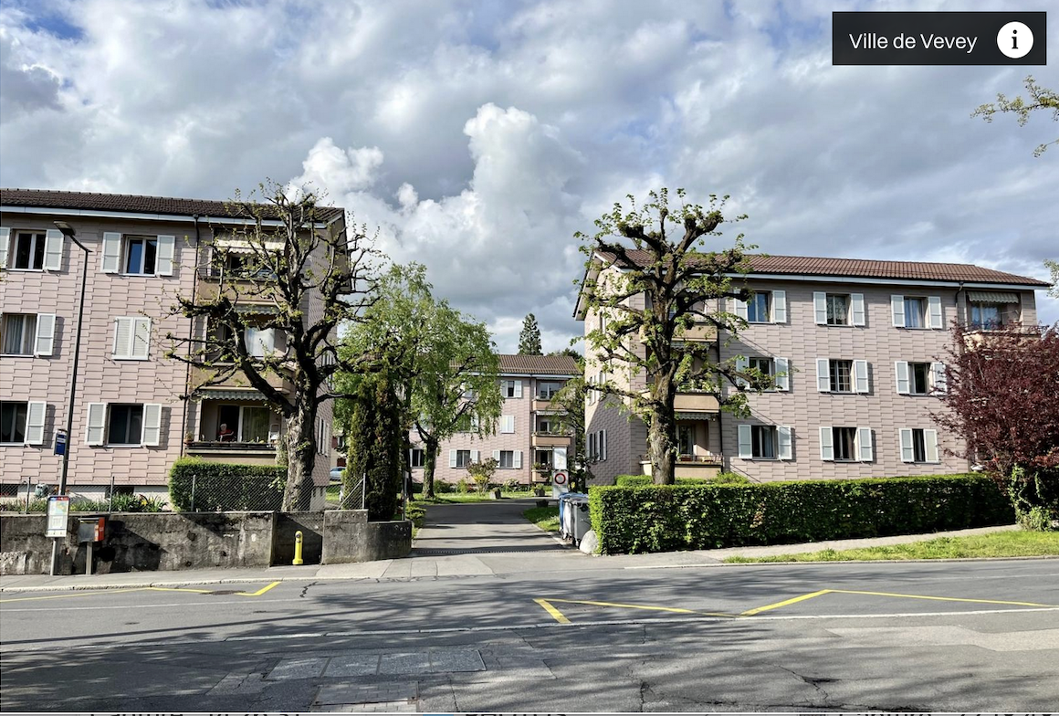 Vevey étant une ville dense et très prisée, la hausse des loyers et le manque de logements favorisent la gentrification.Pour y répondre, Gabriela Kampf, municipale de la cohésion sociale et du logement, et Pascal Molliat, Municipal des bâtiments et des gérances, ont élaboré une politique du logement et un règlement d’attribution des logements à loyers abordables.